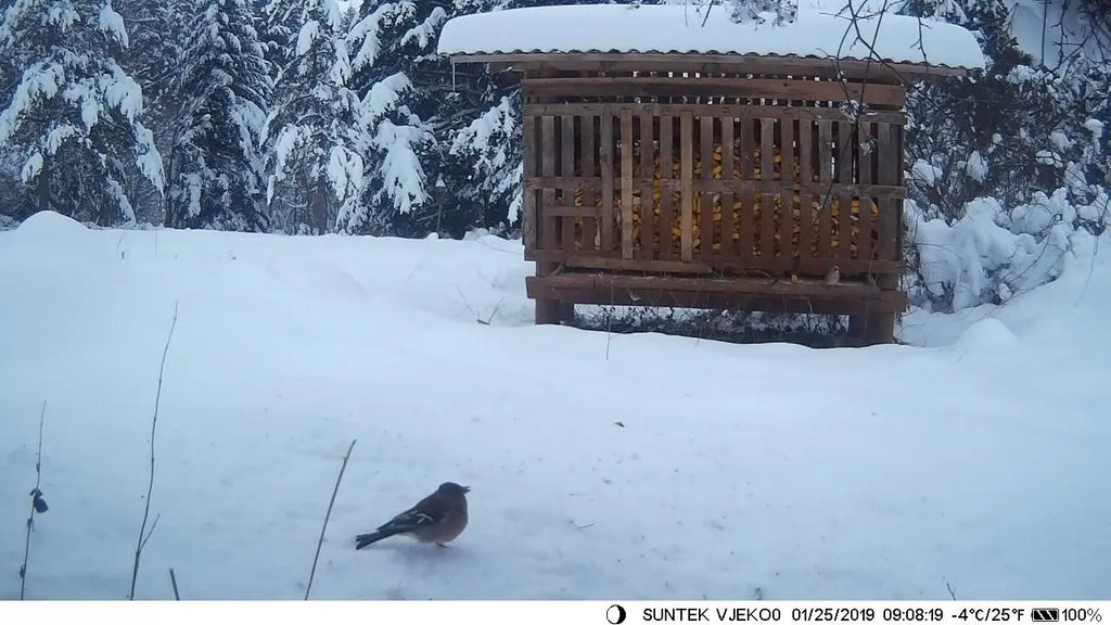 HC801A-LI Trail Hunting Camera – 20MP Night Vision, 1080P HD, 5000mAh Rechargeable Lithium Battery, IP65 Waterproof