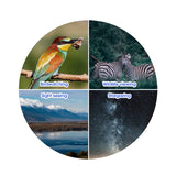 SVBONY SV47 Professional Bird Watching Binoculars – 8x32 / 8x42 / 10x42 Powerful HD Telescope | IPX7 Waterproof Camping & Survival Gear thumbnail 32