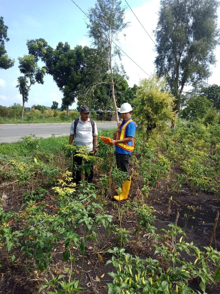 PQWT-TC Series Underground Water Detector (150M / 300M / 500M) – High-Precision Groundwater Finder & Geological Survey Instrument