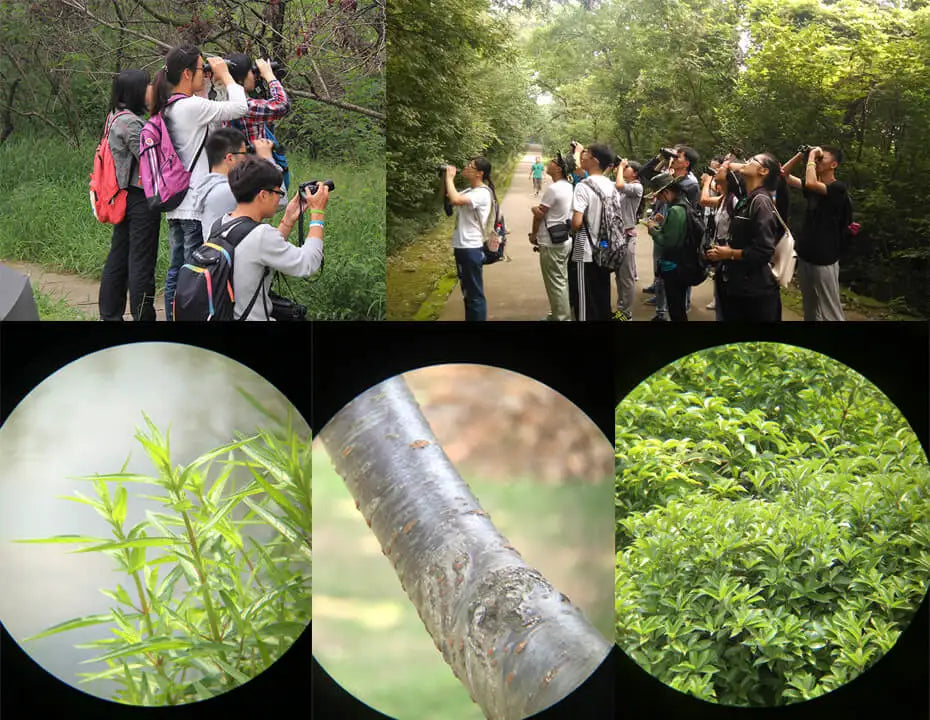 SVBONY SV47 Professional Bird Watching Binoculars – 8x32 / 8x42 / 10x42 Powerful HD Telescope | IPX7 Waterproof Camping & Survival Gear