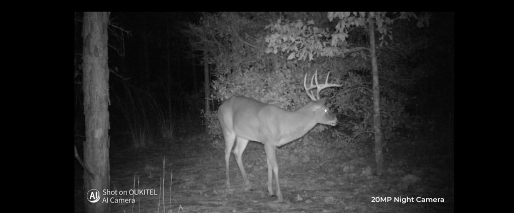 OUKITEL WP100 Titan Rugged Smartphone β 33,000mAh Battery, 200MP Camera, Built-in Projector, 66W Fast Charging, IP68 Waterproof