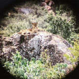 2000x25 HD Monocular Telescope with Phone Holder – Portable, Waterproof, and High-Powered for Hunting, Camping & Birdwatching thumbnail 11