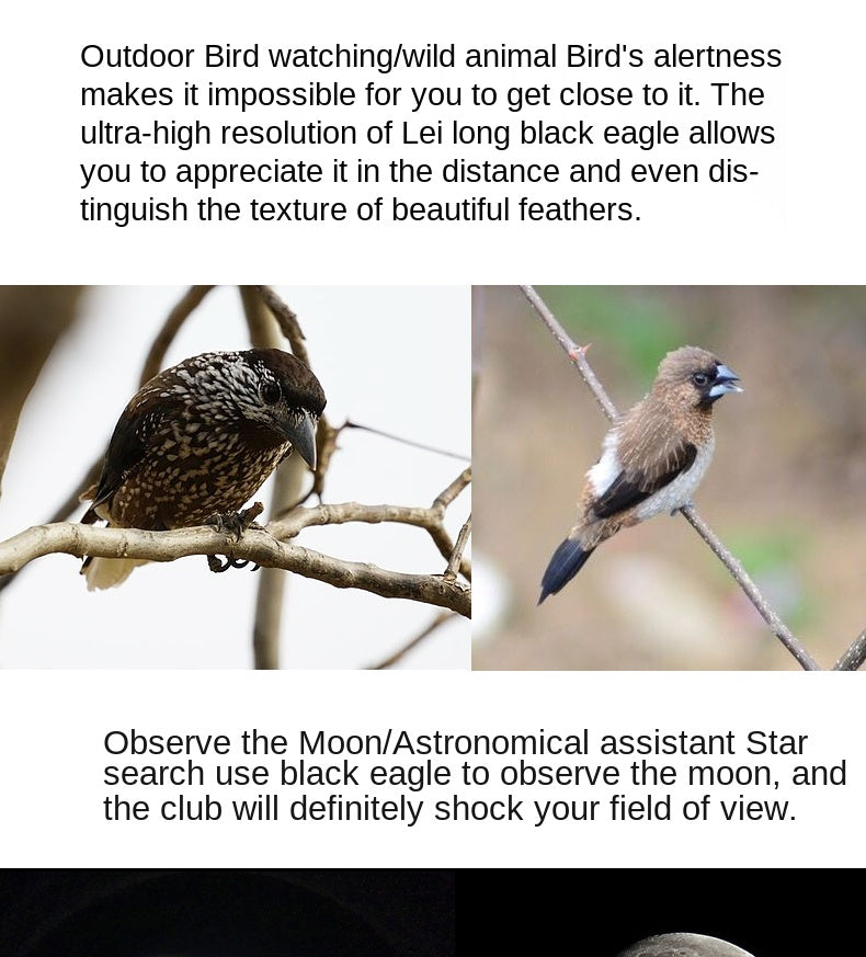 Celestron Outland X 8x42 & 10x42 Waterproof Binoculars – Fogproof, Multi-Coated Optics, BaK-4 Prisms, Outdoor & Wildlife Ready