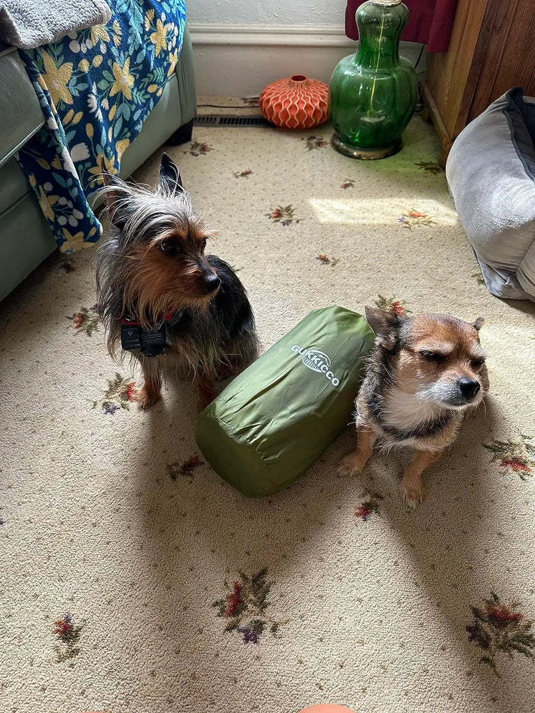 Double Camping Air Mattress with Built-In Pillows – Ultralight Inflatable Sleeping Pad for 2 – Waterproof, Compact & Durable