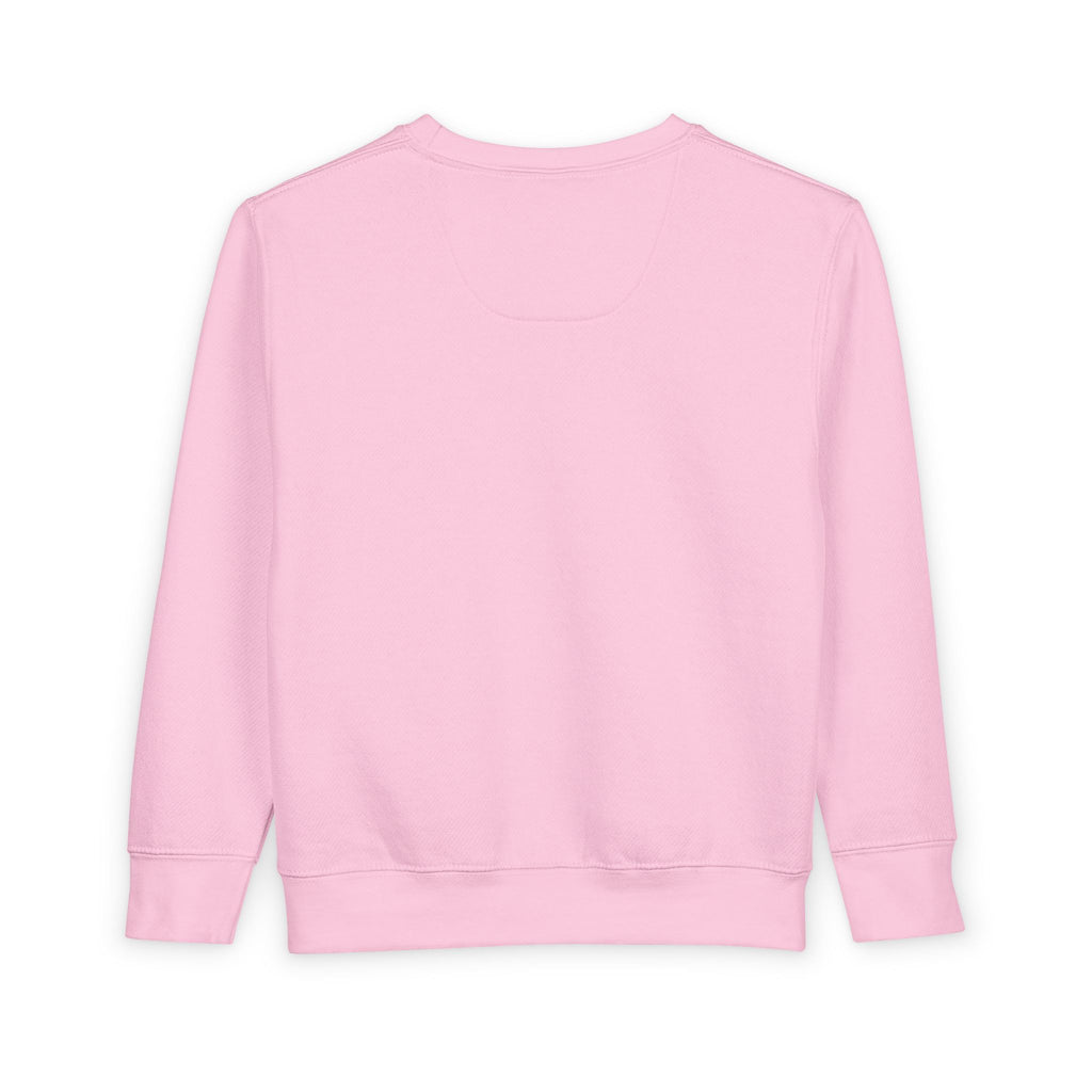 Tiny Terror Toddler Sweatshirt – Cute Monster Kids Pullover