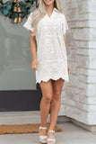 Solid Color Eyelet Embroidered T Shirt Mini Dress thumbnail 6