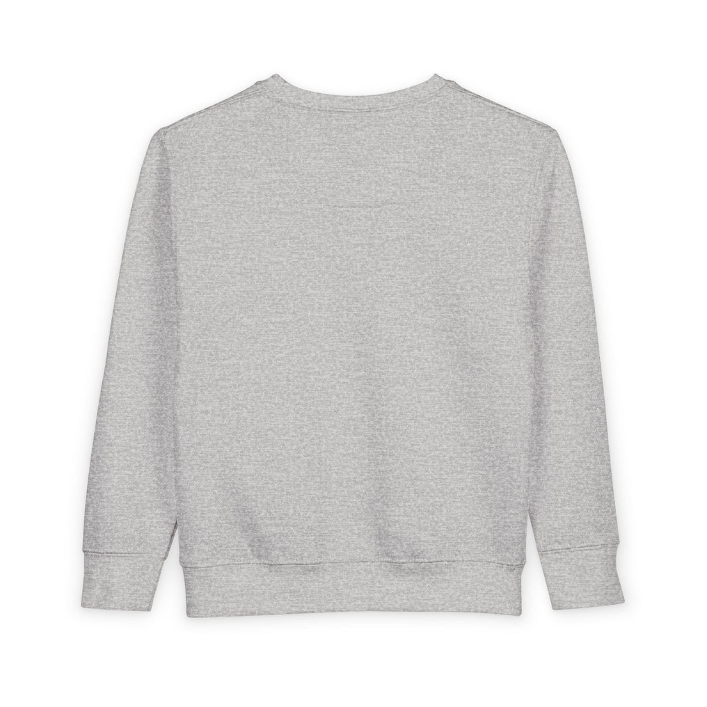 Tiny Terror Toddler Sweatshirt – Cute Monster Kids Pullover