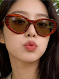 Cat Eye Sunglasses thumbnail 5