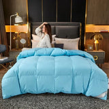 Five-Star Hotel Style Goose Down Duvet – Warm Winter Quilt for Single & Double Beds – Soft Quilted Polyester Comforter 150x200cm to 200x230cm thumbnail 42