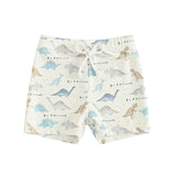 Blotona Boys Swim Trunks – Dinosaur, Plaid & Turtle Print Toddler Board Shorts thumbnail 27