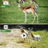 36MP Wildlife Hunting Camera with 1080P Video, 120° Wide Lens, 0.3s Trigger, Night Vision, IP66 Waterproof thumbnail 11