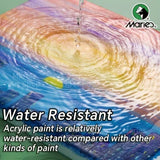 12 Colors Marie’s Acrylic Paint Set – 100ml Vibrant Acrylic Paints for Canvas, Rocks, Crafts, Wood, and Stone thumbnail 10
