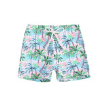 Blotona Boys Swim Trunks – Dinosaur, Plaid & Turtle Print Toddler Board Shorts thumbnail 29