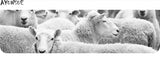 Men’s Winter Sheep Shearing Wool Jacket with Mink Fur Collar – Mid-Length Casual Coat thumbnail 12