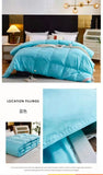Five-Star Hotel Style Goose Down Duvet – Warm Winter Quilt for Single & Double Beds – Soft Quilted Polyester Comforter 150x200cm to 200x230cm thumbnail 26