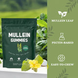 2 Bag Mullein Gummies for Lung Detox 2000mg Mullein Leaf Extract 60 Gummies per Bag Respiratory Digestive Immune Support thumbnail 2