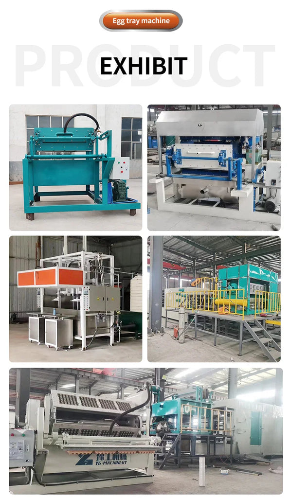Cost-Effective Automatic Egg Tray Making Machine – Paper Pulp Recycling System for Small and Medium Business