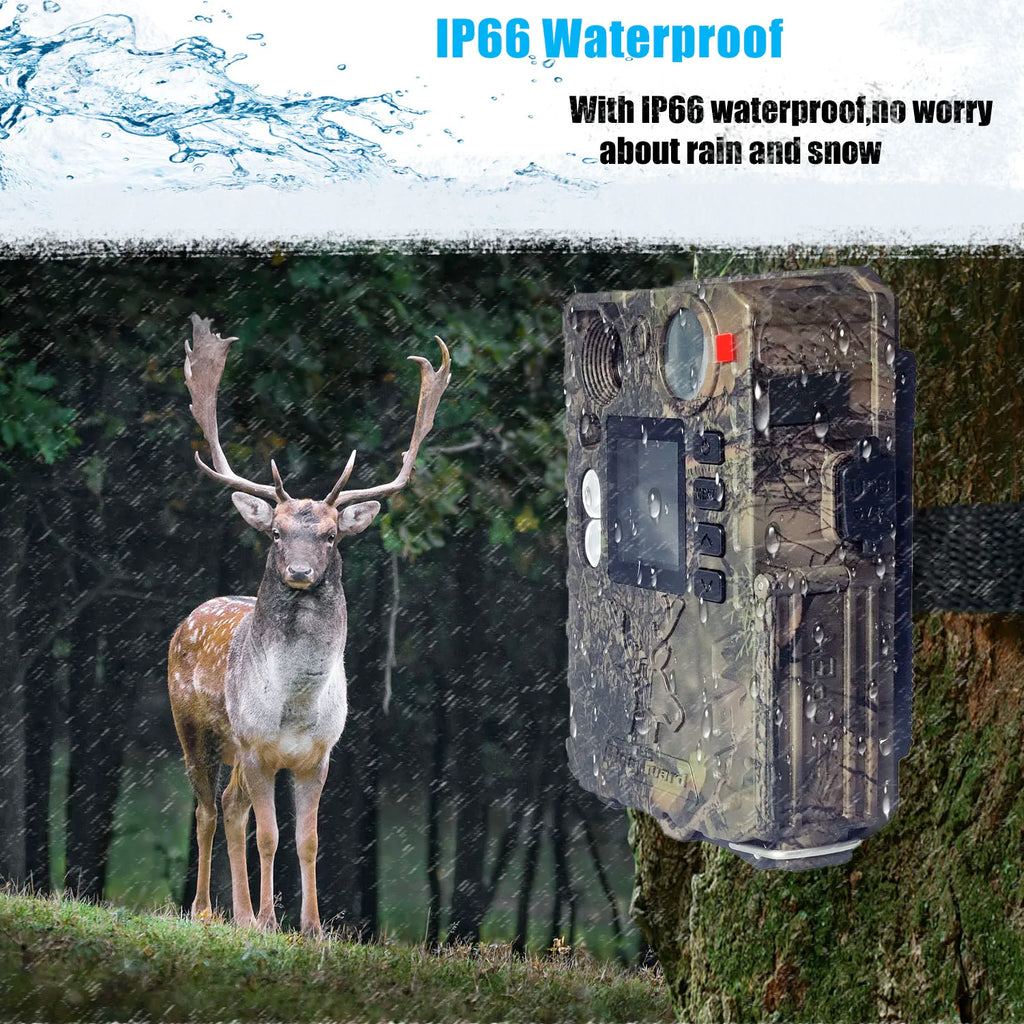 BolyGuard BG410-D 37MP 4K Trail Camera with Dual Flash & Solar Support | Wildlife, Hunting & Security Cam