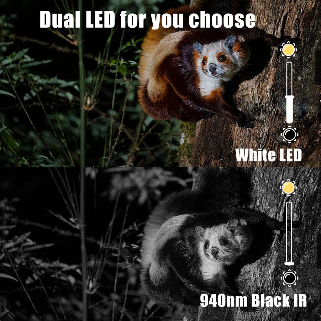 BolyGuard BG410-D 37MP 4K Trail Camera with Dual Flash & Solar Support | Wildlife, Hunting & Security Cam