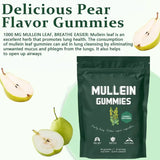 2 Bag Mullein Gummies for Lung Detox 2000mg Mullein Leaf Extract 60 Gummies per Bag Respiratory Digestive Immune Support thumbnail 3