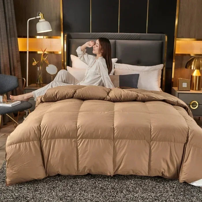 Five-Star Hotel Style Goose Down Duvet – Warm Winter Quilt for Single & Double Beds – Soft Quilted Polyester Comforter 150x200cm to 200x230cm