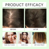 Rosemary Shampoo for Hair Growth, Anti-Dandruff, Soothing Scalp, Repair Split Ends, Nourishing Plant Extracts – 100ml thumbnail 3