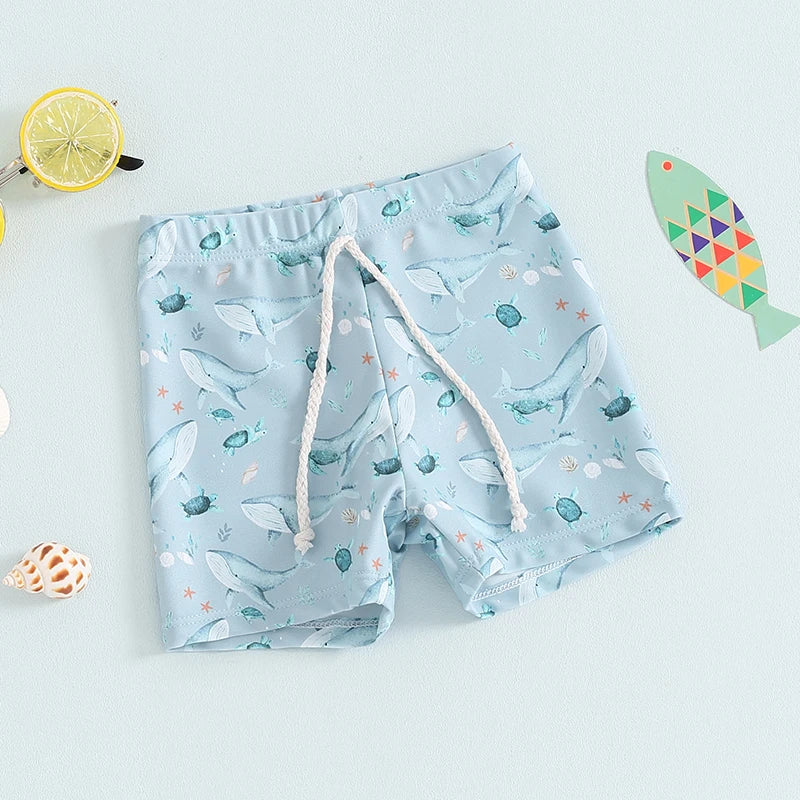 Blotona Boys Swim Trunks – Dinosaur, Plaid & Turtle Print Toddler Board Shorts