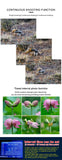 H888 WIFI Wildlife Trail Camera 32MP 4K Hunting Night Vision IP66 Waterproof Photo Trap thumbnail 14
