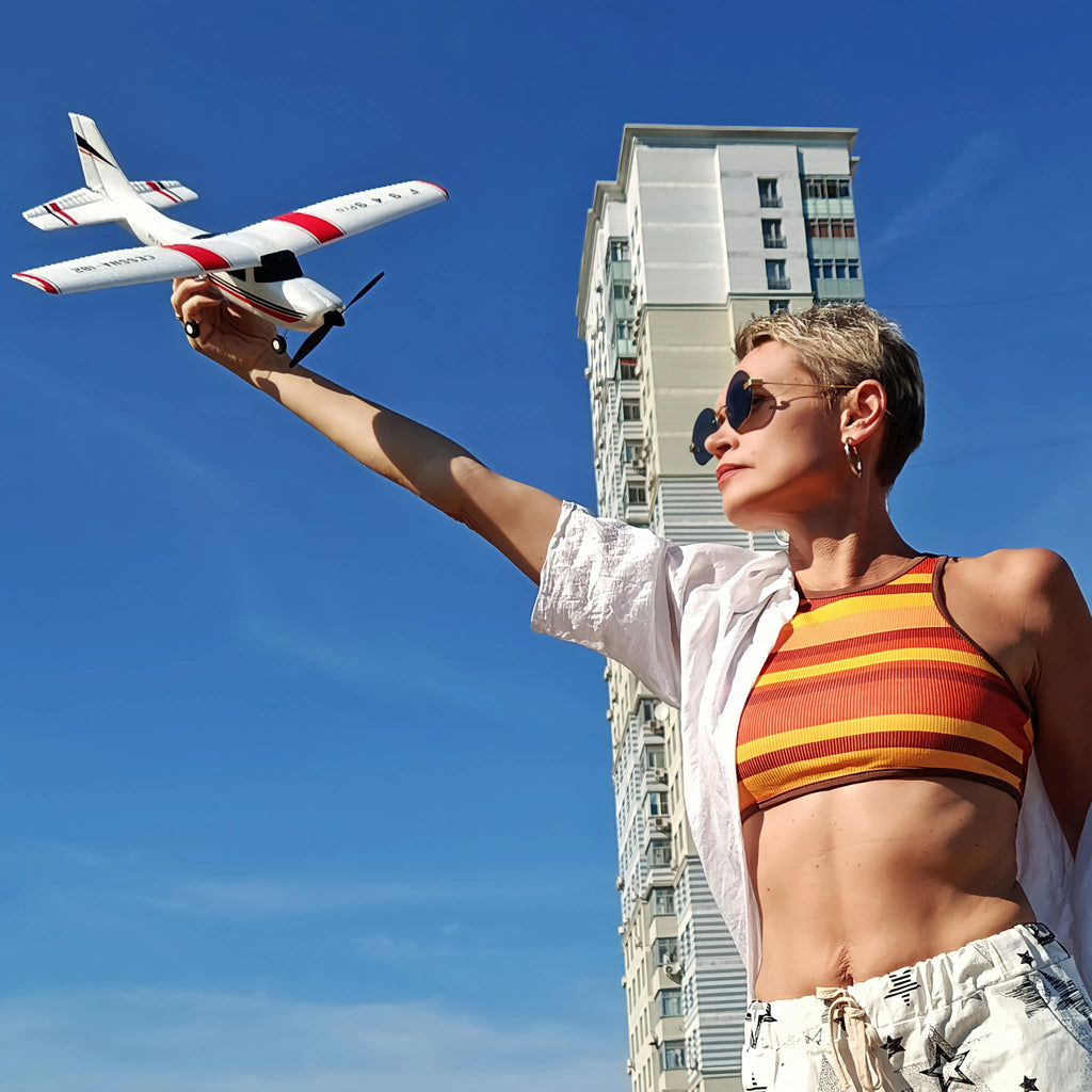 WLtoys F949 LCD RC Airplane Cessna 182 3D/6G 3CH Fixed Wing with Gyroscope Night Flight Ready