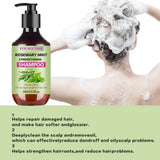 YOUNGCOME Rosemary Mint Strengthening Shampoo 100ml – Unisex, All Hair Types thumbnail 3