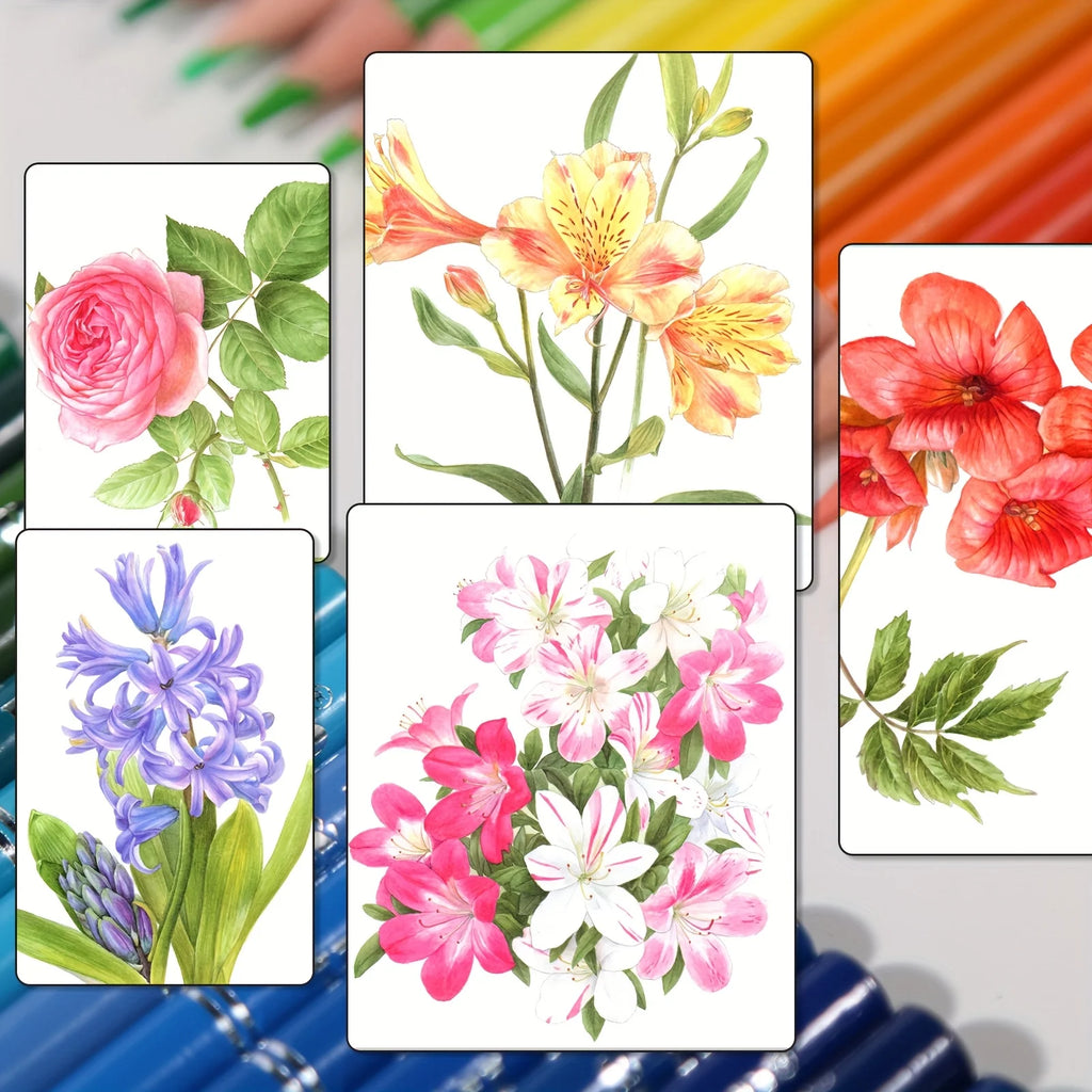 72/120/180/260 Color Lead Pencil Set – Vibrant Watercolor-Style Erasable Art Pencils for Artists & Beginners