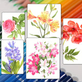 72/120/180/260 Color Lead Pencil Set – Vibrant Watercolor-Style Erasable Art Pencils for Artists & Beginners thumbnail 6