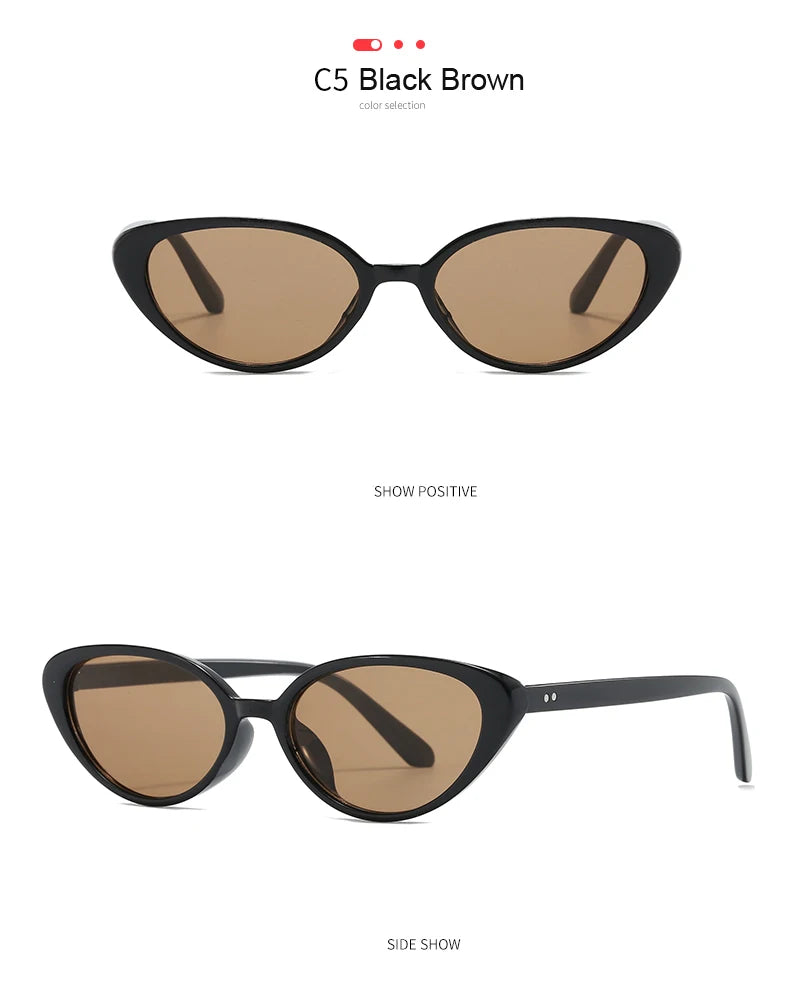 2pcs Retro Cat Eye Sunglasses for Women & Men – Rivet Triangle Fashion Sun Glasses, Multi-Color