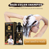 3-in-1 Instant Hair Coloring Shampoo – Natural Black & Herbal Brown, 500ml, Unisex Hair Dye thumbnail 2