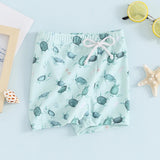Blotona Boys Swim Trunks – Dinosaur, Plaid & Turtle Print Toddler Board Shorts thumbnail 15