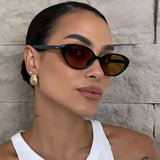 2pcs Retro Cat Eye Sunglasses for Women & Men – Rivet Triangle Fashion Sun Glasses, Multi-Color thumbnail 1
