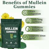 2 Bag Mullein Gummies for Lung Detox 2000mg Mullein Leaf Extract 60 Gummies per Bag Respiratory Digestive Immune Support thumbnail 6