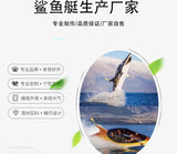 Fiberglass Luxury High-Speed Simulation Motorboat Yacht – 2 Person, 250kg Capacity thumbnail 7