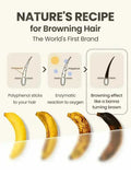 White to Black Gray Hair Serum – Natural Color Repair & Nourishing Essence for Men and Women thumbnail 5