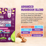 BIYODE 80 Count Organic Mushroom Gummies with Ashwagandha & Lions Mane – Immune Support, Brain Boost, Vegan Formula thumbnail 6